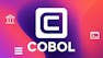 IBM COBOL Software Development Practices