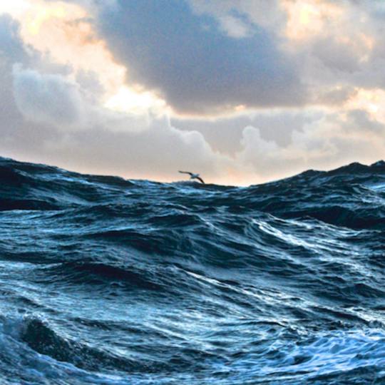 Portada: Oceanografía: una clave para comprender mejor nuestro mundo