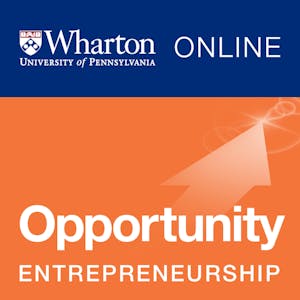 Entrepreneurship 1: Developing the Opportunity 