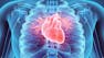 The Heart, Blood, and Lungs