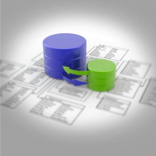 Portada: Gestión de datos para la investigación clínica