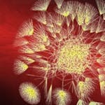 Big Data Modeling and Management Systems image