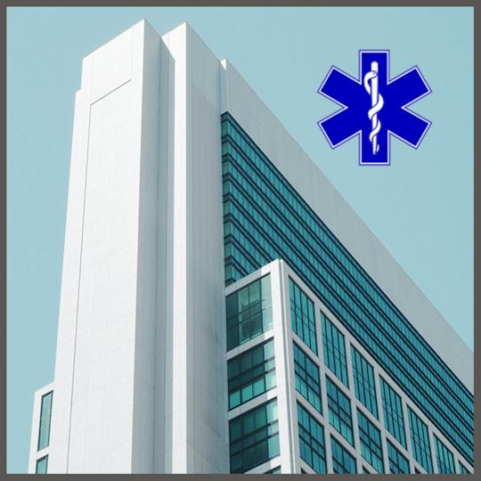 Portada: Las organizaciones sanitarias y el sistema sanitario