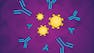 Immunology: Adaptive Immune System