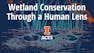 Wetland Conservation Through a Human Lens