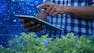 Participatory AI for Social Impact