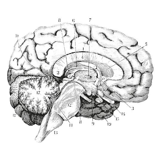 Portada: Filosofía de la ciencia