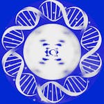 结构生物化学（Structural Biochemistry) 