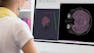 Image Segmentation, Filtering, and Region Analysis