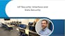 IoT Security: Interface and Data Security