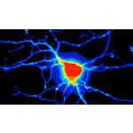 Integrated Analysis in Systems Biology image