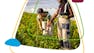 Foundational Sustainability Skills & Competencies
