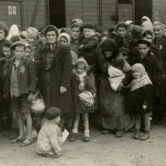 Portada: El Holocausto: el abismo de la humanidad