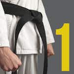 Organization Planning and Development for the 6 σ Black Belt by University System of Georgia