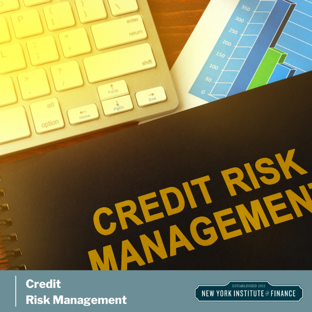 Best Risk Management Courses Online With Certificates 2024 Coursera   Credit Risk Management LOGO 