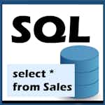 Retrieve Data using Single-Table SQL Queries by Coursera Project Network