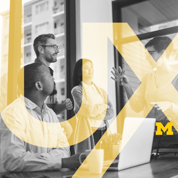 Introduction to User Experience Principles and Processes image