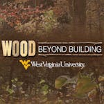 Wood Science: Beyond Building 