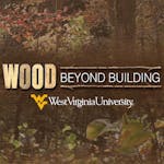 Wood Science: Beyond Building image
