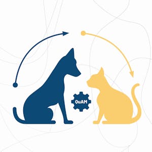 Machine Learning Algorithms: Supervised Learning Tip to Tail image