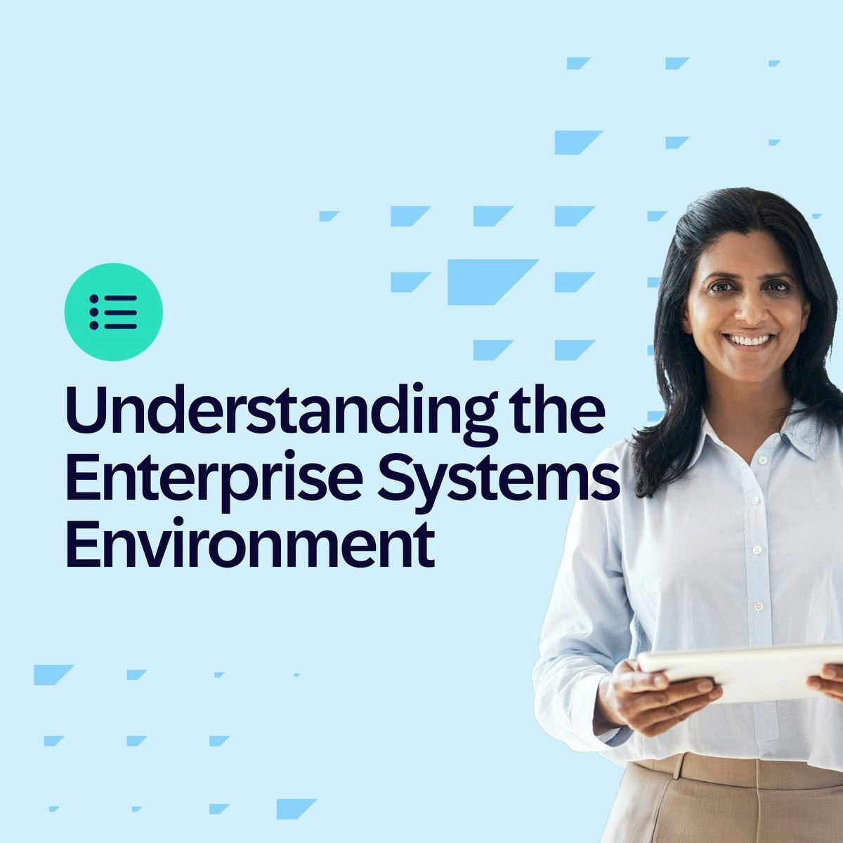 Understanding the Enterprise Systems Environment