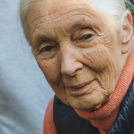 Portada: Liderazgo compasivo a través del aprendizaje-servicio con Jane Goodall y Roots & Shoots