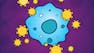 Immunology: Immune System and Infectious Diseases