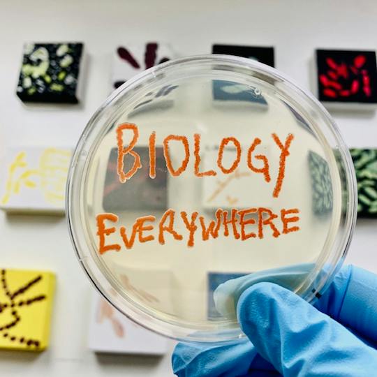 Portada: Fundamentos de Biología en todas partes