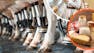 Discovering Dairy: What's in Your Milk?