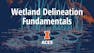Wetland Delineation Fundamentals