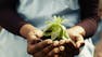 Innovative Climate Solutions