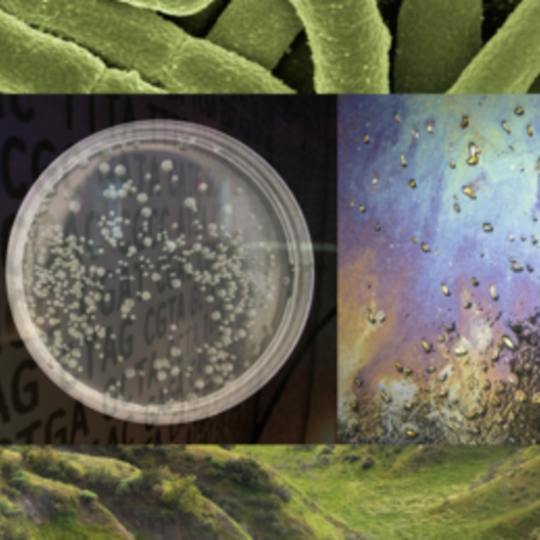 Portada: Ingeniería de la vida: Synbio, Bioética y Política Pública