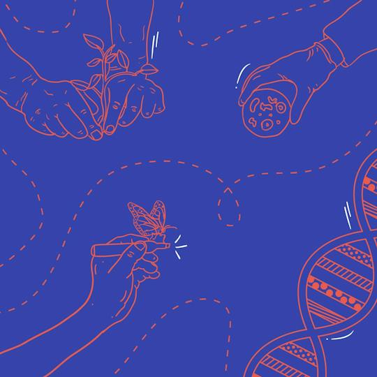 Portada: Biodiseño respondiendo a retos complejos