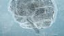 Big Data, Artificial Intelligence, and Ethics