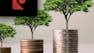 Introduction to Growth Investing