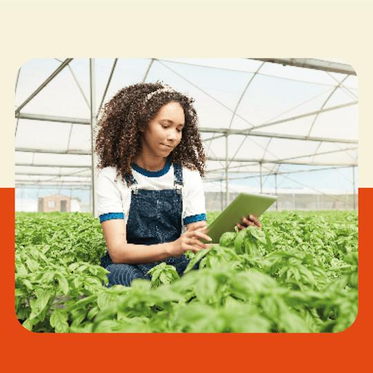 Portada: Sustainable Digital Impact: Agritech Startup Ecosystems