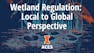 Wetland Regulation: Local to Global Perspective