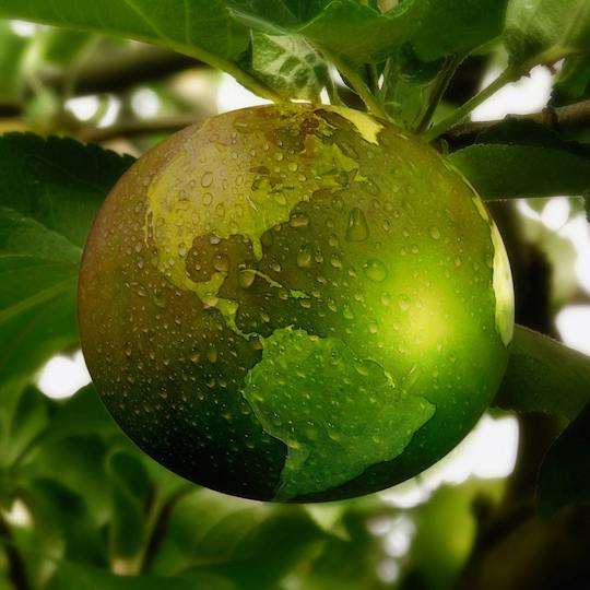 Portada: Introducción a la alimentación y nuestro medio ambiente