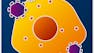 What Do Viruses Do And How Do We Control Them