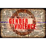Confronting Gender Based Violence: Global Lessons for Healthcare Workers by Johns Hopkins University