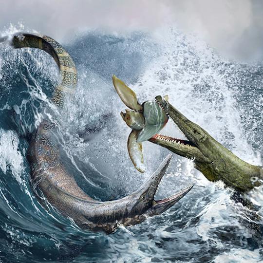 Portada: Paleontología: Antiguos reptiles marinos