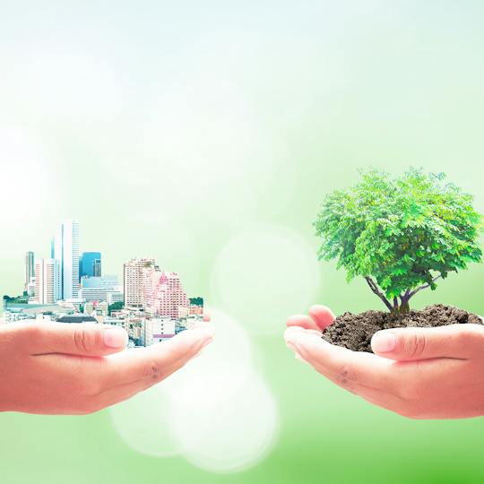 Portada: Salud medioambiental: la base de la salud pública mundial