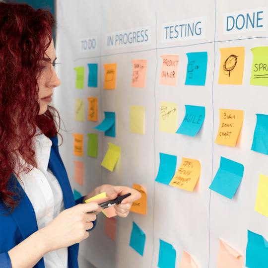 Portada: Project Approaches, Lifecycles, and Agile Implementation