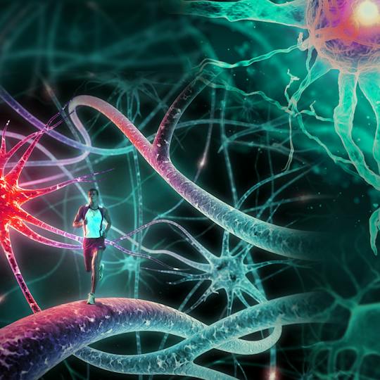 Portada: Neurobiología avanzada II