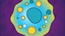 Immunology: Immune Failures and Cancer Immunology