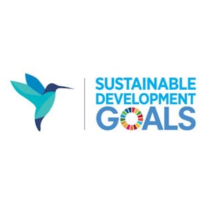 Driving business towards the Sustainable Development Goals image