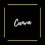 Build a Professional Resume using Canva by Coursera Project Network
