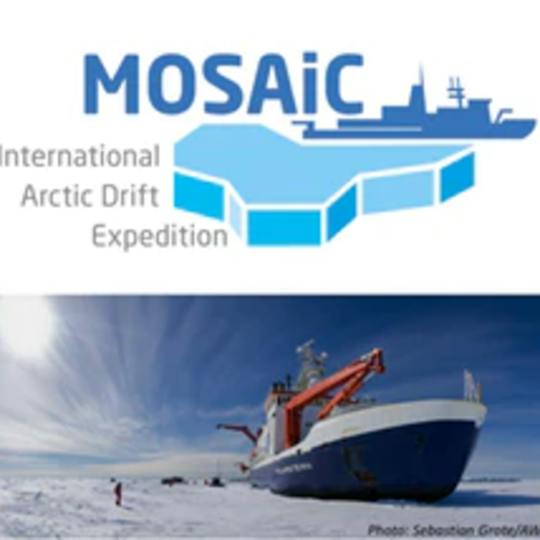 Portada: Congelados en el hielo: Explorando el Ártico