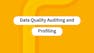 Data Quality Auditing and Profiling