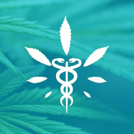 Portada: Cannabis medicinal para el control del dolor